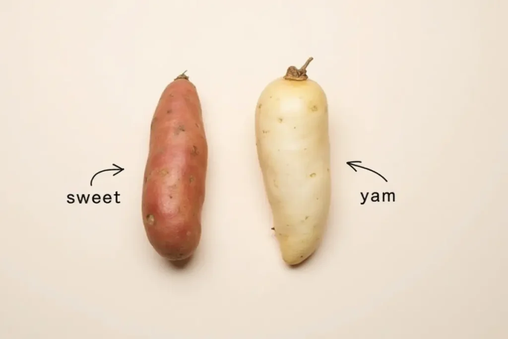 Side-by-side comparison of a sweet potato and a yam, with labels showing their names.